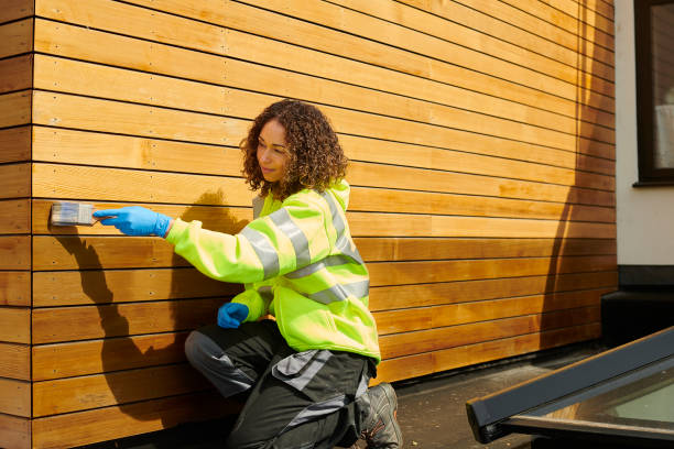Best Steel Siding Installation  in Sergeant Bluff, IA