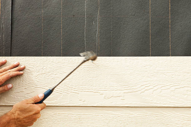 Best Vinyl Siding Installation  in Sergeant Bluff, IA