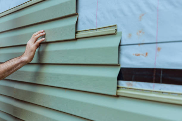 Best Siding Painting and Refinishing  in Sergeant Bluff, IA